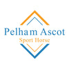 Pelham Ascot: A Legacy of Equestrian Excellence and Luxury Pelham Ascot: A Legacy of Equestrian Excellence and Luxury