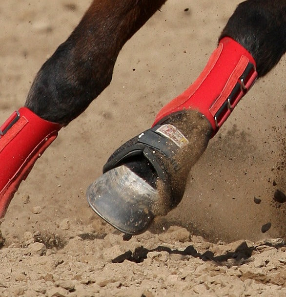 Bell Boots, Overreach, and Pull on's Bell Boots, Overreach, and Pull on's