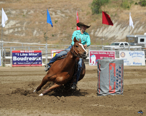 Bottes de galop